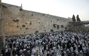 Đụng độ đẫm máu Israel-Palestine ở đền thờ al-Aqsa