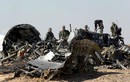 Máy bay Nga rơi ở Ai Cập: Bom gài trong khoang chính?