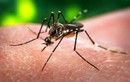 Trường hợp đầu tiên ở Trung Quốc nhiễm virus Zika