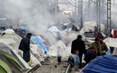 Cuộc sống khốn cùng của người tị nạn bị Macedonia trục xuất