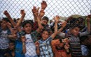 30 bé trai Syria bị cưỡng hiếp trong trại tị nạn TNK