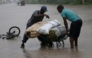 Bão Matthew gây thiệt hại nặng ở Haiti, Cuba