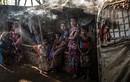 Cuộc sống khốn khổ của người tị nạn Rohingya 