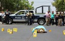 Làm báo - nghề “nguy hiểm chết người” ở Mexico
