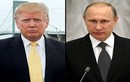 Quân đội Syria ngừng bắn trước cuộc gặp Putin-Trump