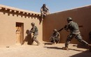 Ảnh: Thủy quân lục chiến Mỹ huấn luyện lính Afghanistan đánh Taliban