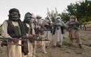 Con trai thủ lĩnh Taliban ở Afghanistan chết khi đánh bom tự sát