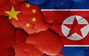 TQ yêu cầu các công ty Triều Tiên đóng cửa trong 120 ngày