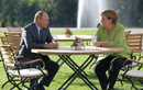 Gặp Thủ tướng Đức Merkel, Tổng thống Nga Putin thảo luận vấn đề gì?