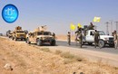 SDF thắng lớn, IS “chết như ngả rạ” trên chiến trường Deir Ezzor