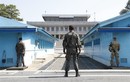 Hai miền Triều Tiên chuẩn bị dỡ bỏ các trạm gác trong DMZ