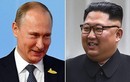 Tổng thống Putin bận xử lý cháy rừng trước giờ gặp ông Kim Jong-un