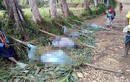 Lộ nguyên nhân vụ thảm sát phụ nữ chấn động Papua New Guinea