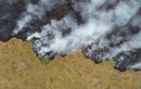 Cháy rừng Amazon: Cả thế giới “nín thở” theo dõi