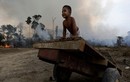 Thảm họa cháy rừng Amazon: Ai chịu ảnh hưởng nhiều nhất?