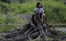 Khốn khổ cuộc sống bộ lạc Amazon vì cháy rừng dữ dội