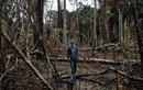 Khốc liệt cuộc chiến bảo vệ rừng của các bộ lạc Amazon