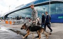 Moscow kiểm tra toàn bộ 4 sân bay vì đe dọa đánh bom