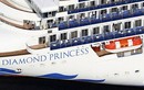 Australia đưa công dân trên tàu Diamond Princess về nước trong hôm nay