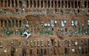Hãi hùng nghĩa trang lớn nhất Brazil chôn cất nạn nhân COVID-19