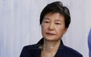 Cựu Tổng thống Hàn Park Geun-hye có thể phải chịu 35 năm tù giam