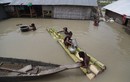 Lũ lụt hoành hành Ấn Độ, hàng triệu người khốn khổ