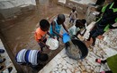 Tận mục cuộc sống người dân Senegal khốn khổ vì mưa lũ