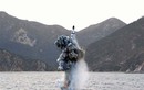 Có dấu hiệu Triều Tiên sắp thử tên lửa đạn đạo từ tàu ngầm?