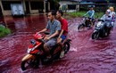 Cận cảnh dòng nước lũ "đỏ như máu" tràn vào ngôi làng ở Indonesia