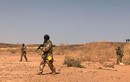 Các tay súng đi môtô bắn chết 137 người ở Niger
