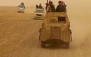 Chỉ huy cấp cao IS bị tóm sống tại Syria