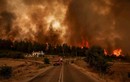 Khiếp sợ cảnh cháy rừng như “tận thế” ở Hy Lạp