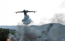 Máy bay cứu hỏa Nga rơi ở Thổ Nhĩ Kỳ, không ai sống sót