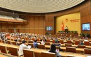 Dấu ấn 11 ngày họp trực tuyến của Quốc hội khóa XV