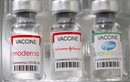 Ba loại vaccine COVID-19 giảm hiệu quả bảo vệ sau 6 tháng