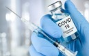 Bộ Y tế ban hành hướng dẫn tiêm mũi 3, 4 vắc xin COVID-19