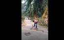 Video: Người đàn ông dùng tay không tóm gọn rắn hổ mang khổng lồ