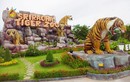 Độc đáo trại hổ Sriracha Tiger Zoo - lớn nhất châu Á