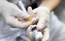 Bộ Y tế phân bổ 832.900 liều vaccine AstraZeneca đến các địa phương