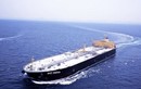 Tàu chở 1,5 triệu lít dầu lật úp ngoài khơi Philippines