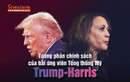 [INFOGRAPHIC] Tương phản chính sách của hai ứng viên Tổng thống Mỹ Trump-Harris