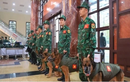 Việt Nam cử lực lượng cứu trợ thảm họa sang hỗ trợ Myanmar