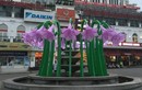 Dân mạng “ném đá” ác liệt đài hoa ở bờ hồ Hoàn Kiếm