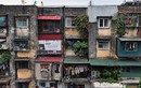 Hốt hoảng tiến độ cải tạo chung cư cũ Hà Nội