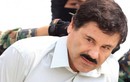 Tin nhắn ướt át giữa trùm ma túy El Chapo và mỹ nhân 