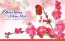 Thiệp chúc mừng năm mới 2016 đẹp và ý nghĩa