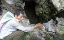 Bầy khỉ kỳ lạ bên hang Quan Tài và người thợ săn lão luyện