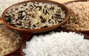 Mẹo hay nhận biết gạo thơm ướp thuốc và gạo thơm chính hiệu
