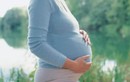 Bệnh đa nang buồng trứng có thể mang thai tự nhiên?