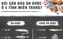 Infographic: Hải sản nào ăn được ở 4 tỉnh miền Trung?